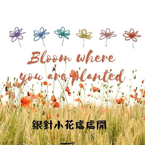 bbb44f4209def43a21405cfe66733e49