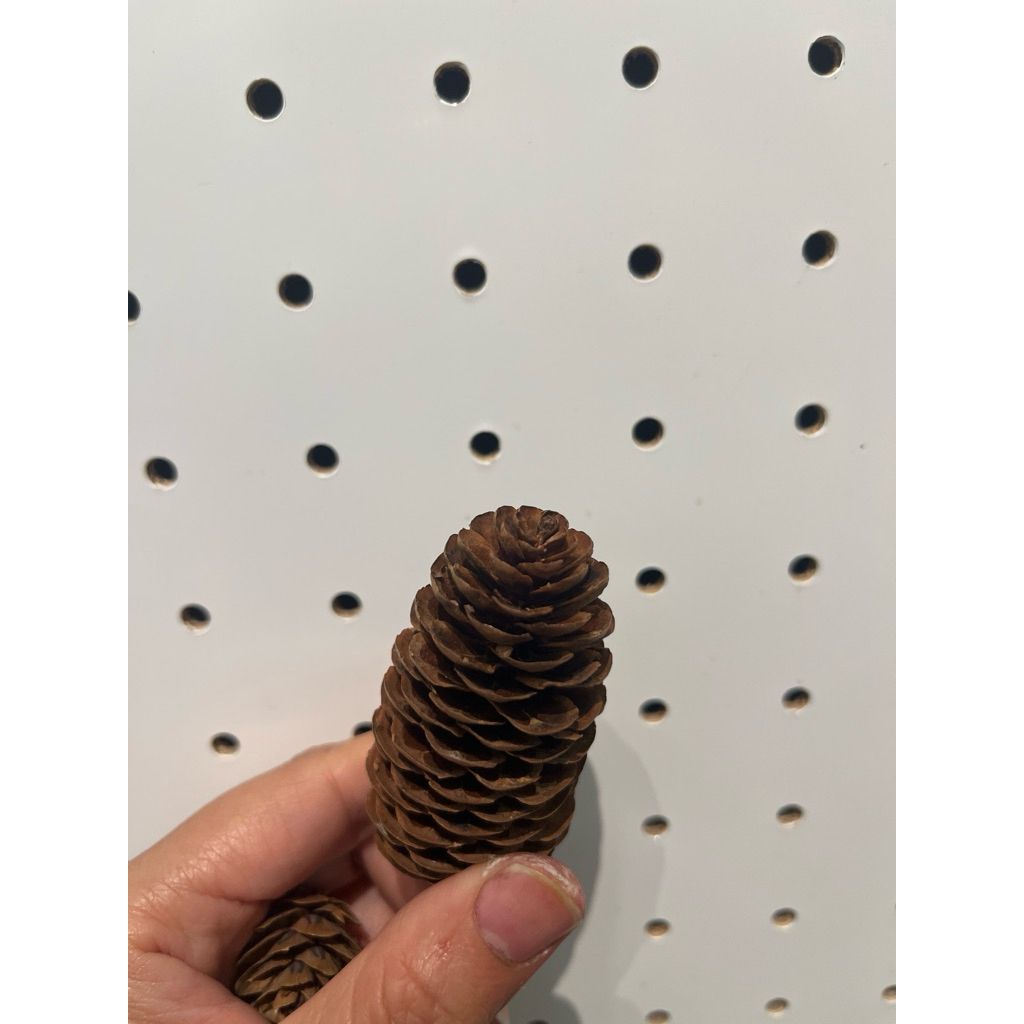 tw-11134207-81zto-mhstebgrj4ed7b