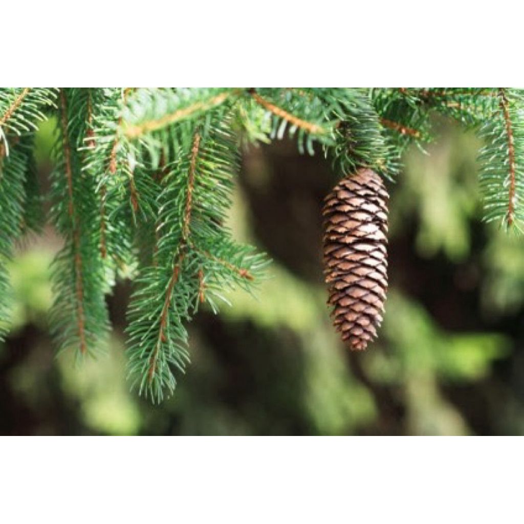 tw-11134207-81ztf-mhstbg4e1a822e