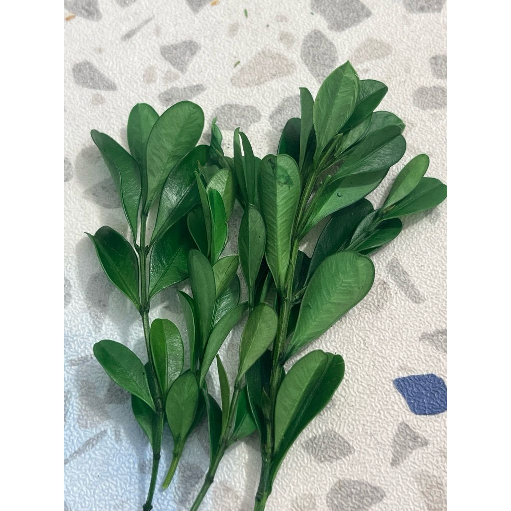 tw-11134207-81ztl-mhssih4q3l6tc3