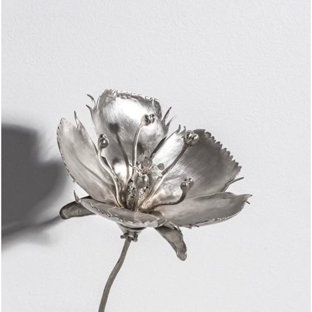 tw-11134207-81ztf-mjocuu48s4xx5d