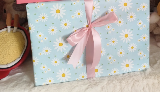 FREE wrapping service(ribbon) | Mk Plushies 