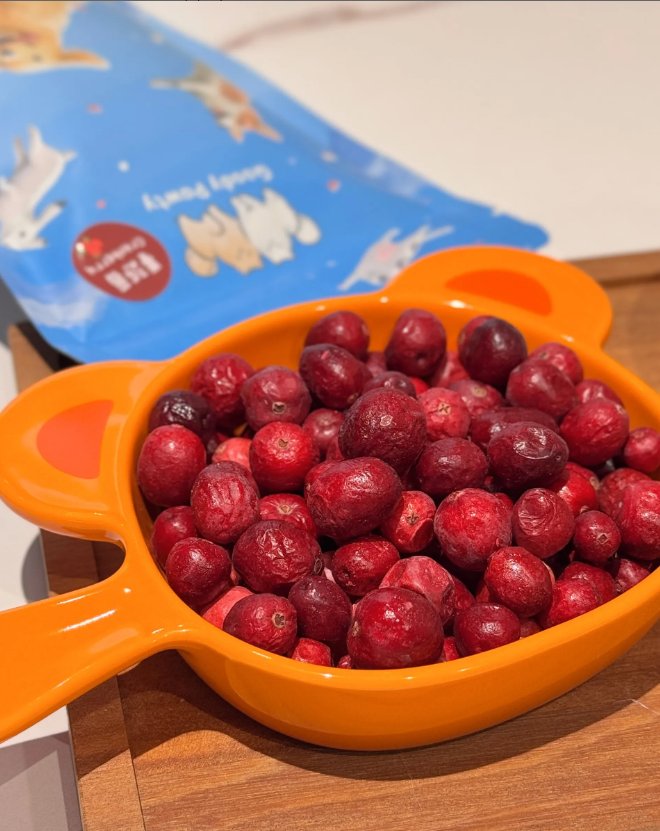 chrome_screenshot_www.goodypawty.com