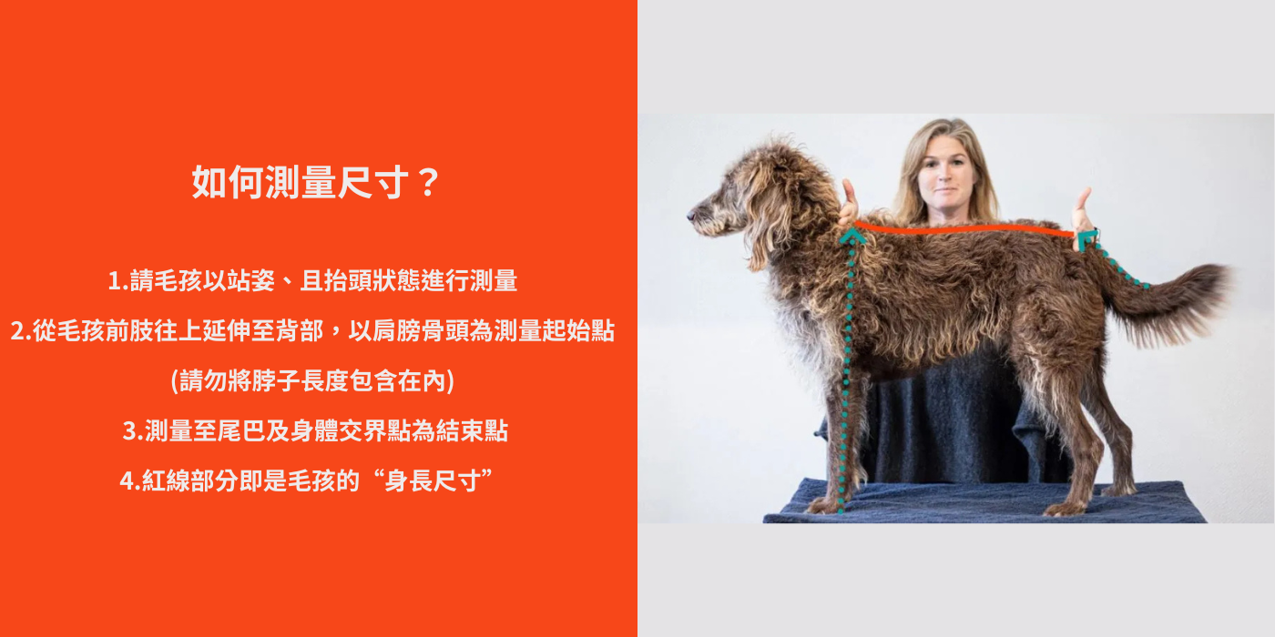 教你如何正確量出狗狗的身長