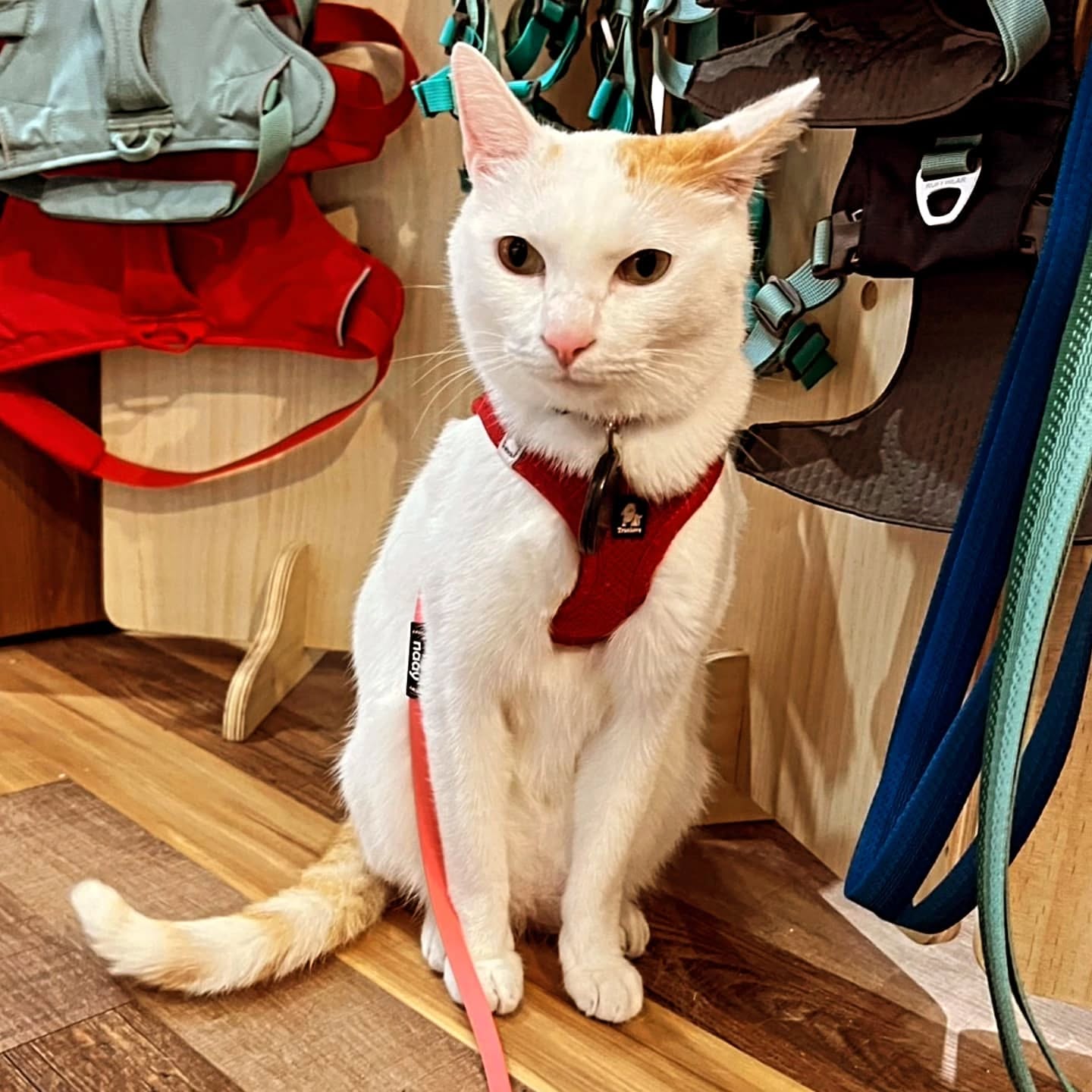 517028244_18329480065203620_315960299130924296_n