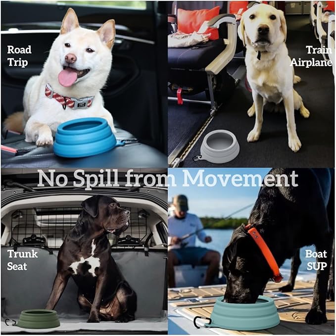 71gEeO9RbuL._AC_SX679_