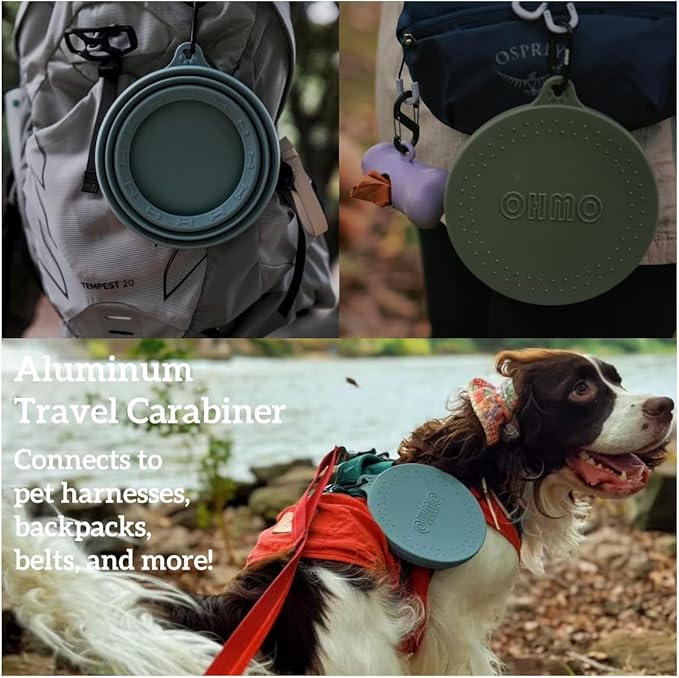 71Skp-gsYzL._AC_SX679_