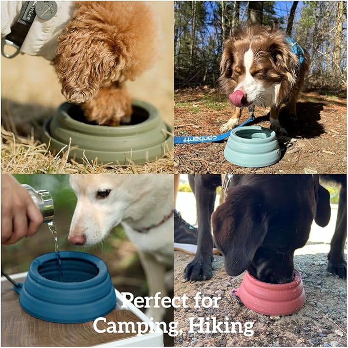 71Os7ECdbhL._AC_SX679_