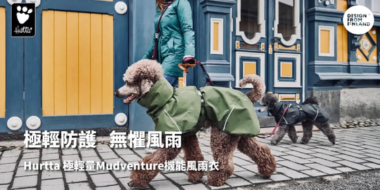  | MIXPETSHOP