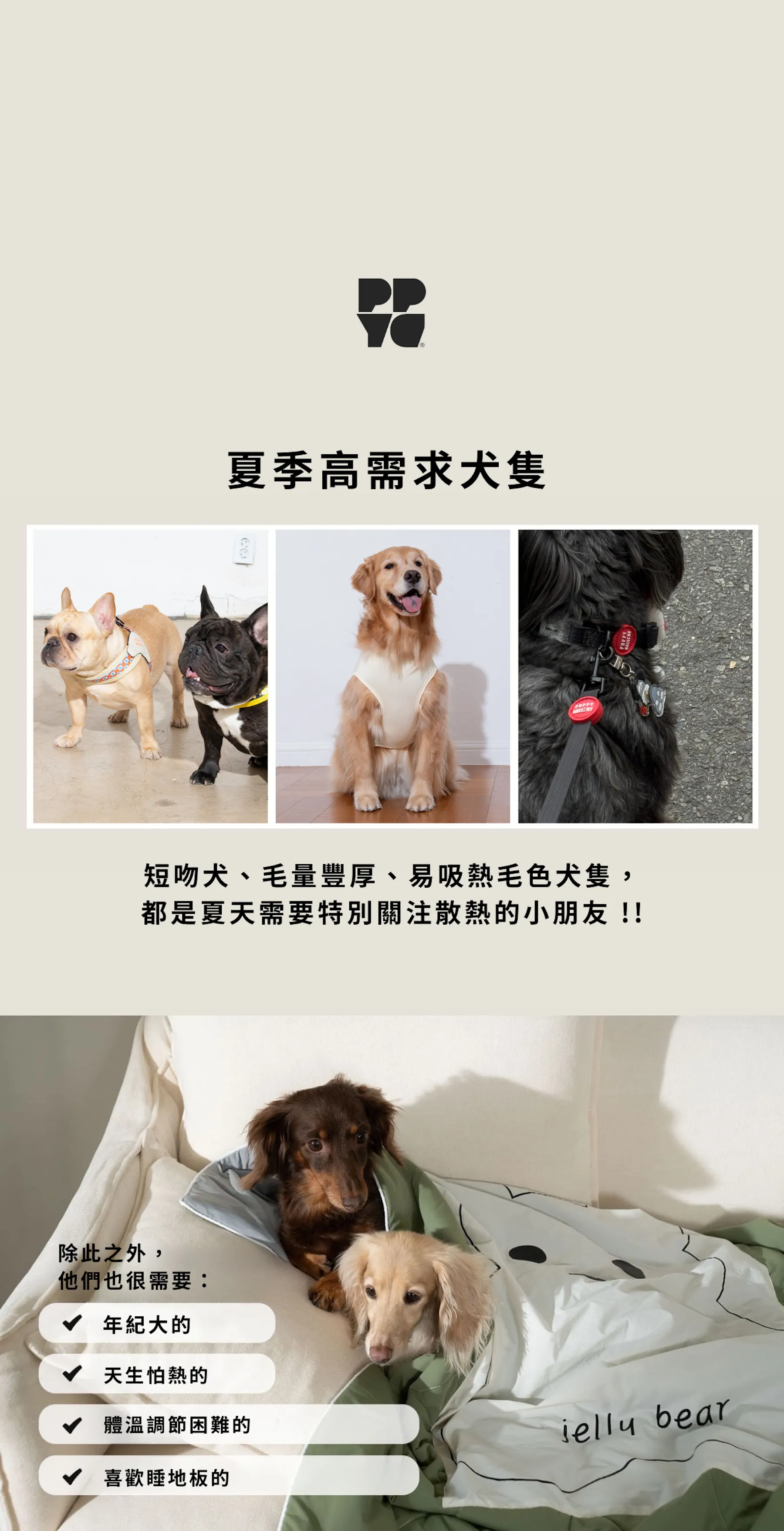 內4