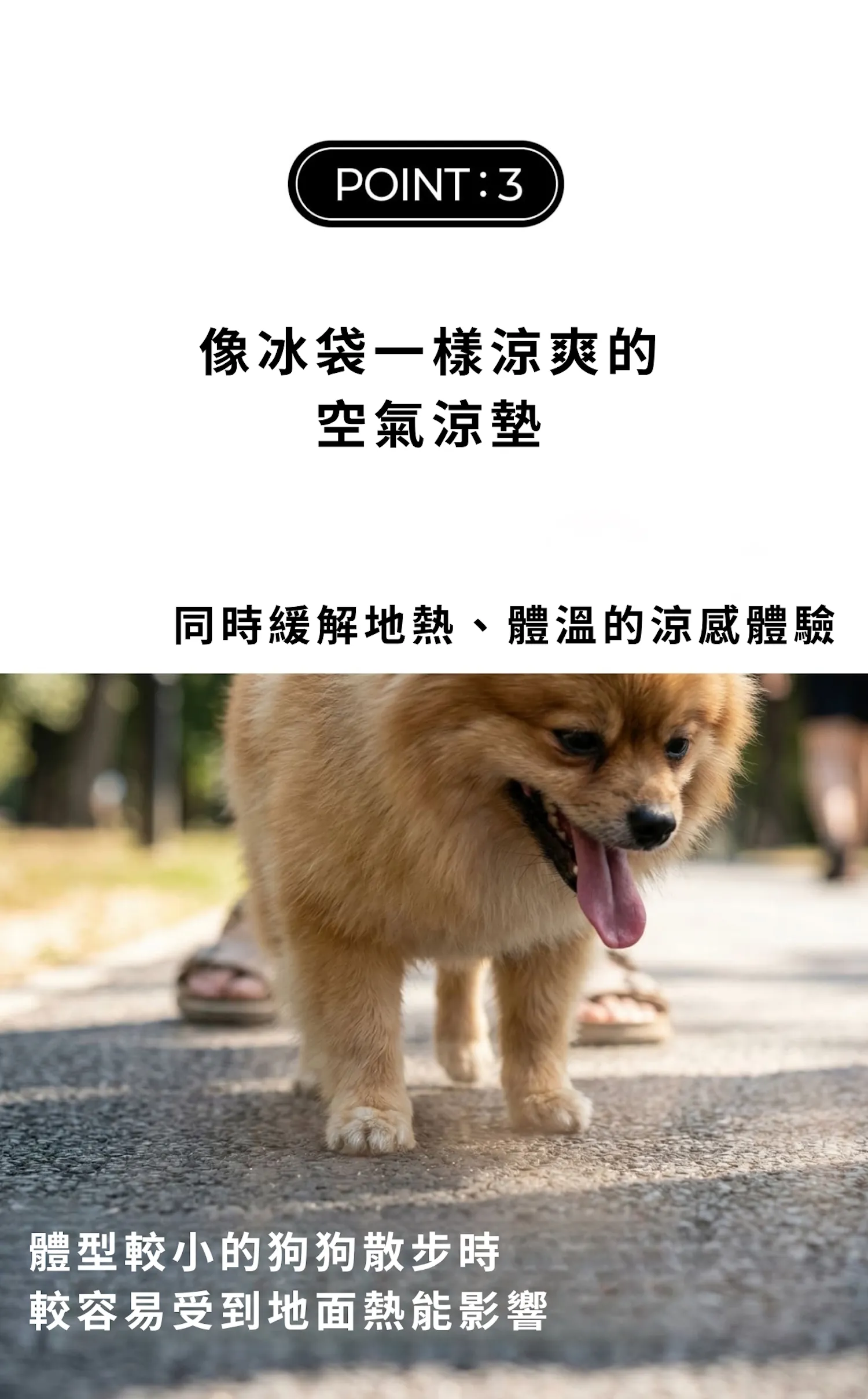內5