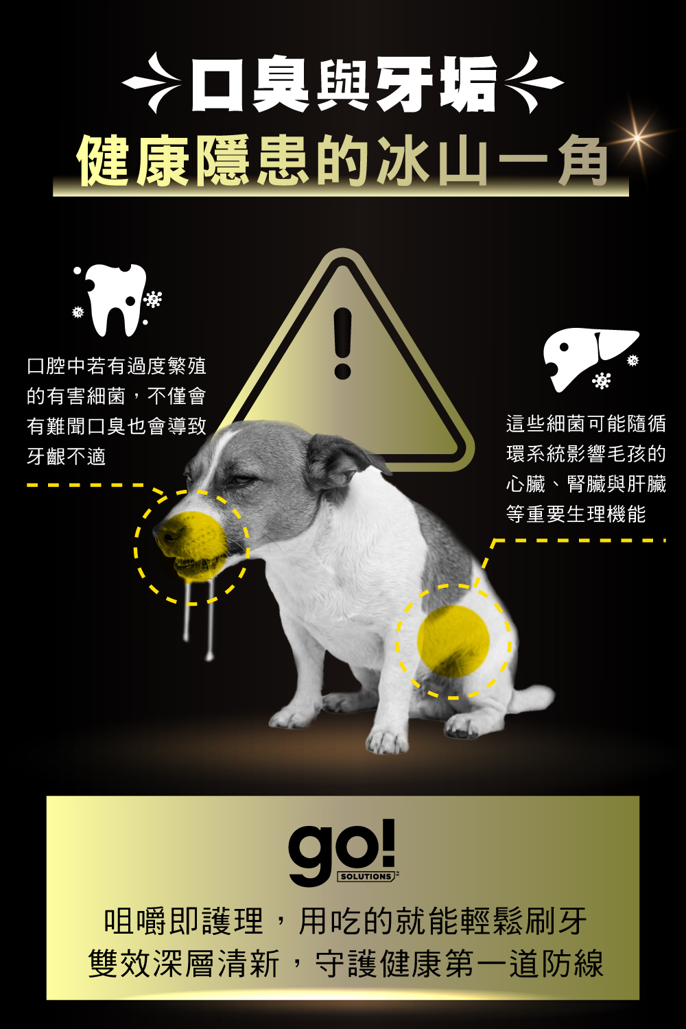 內3
