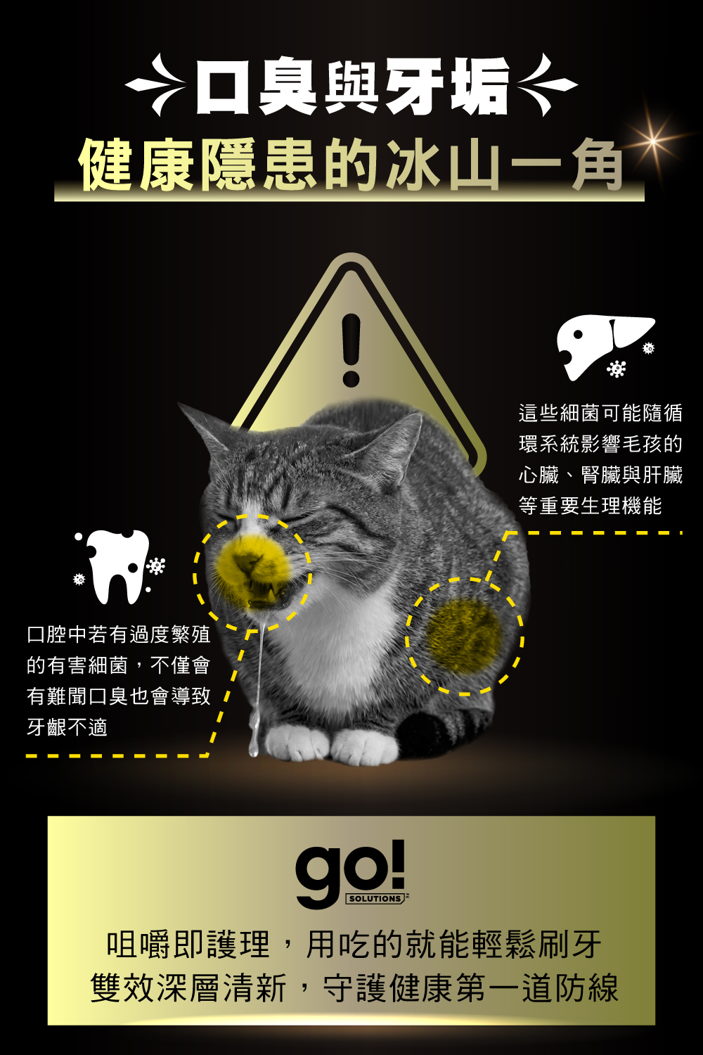 內3