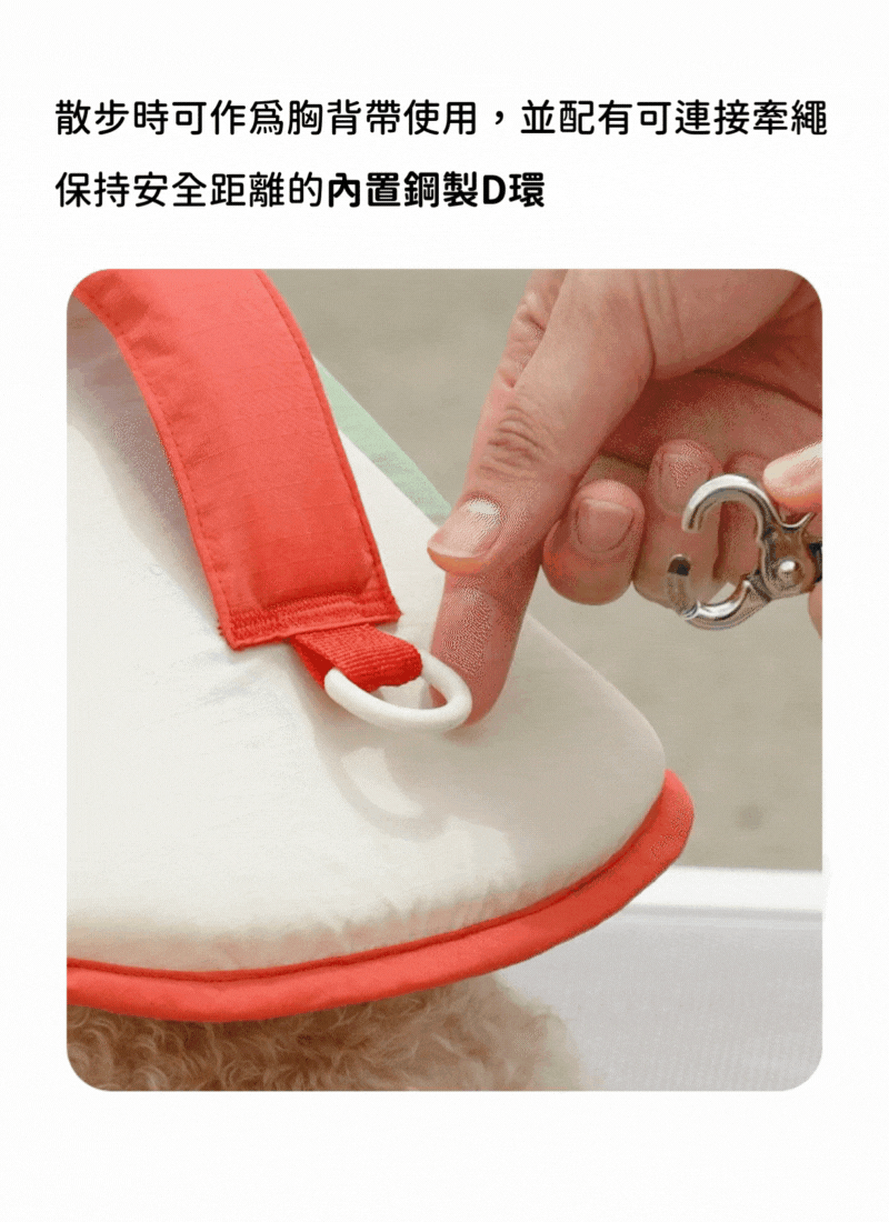 內10