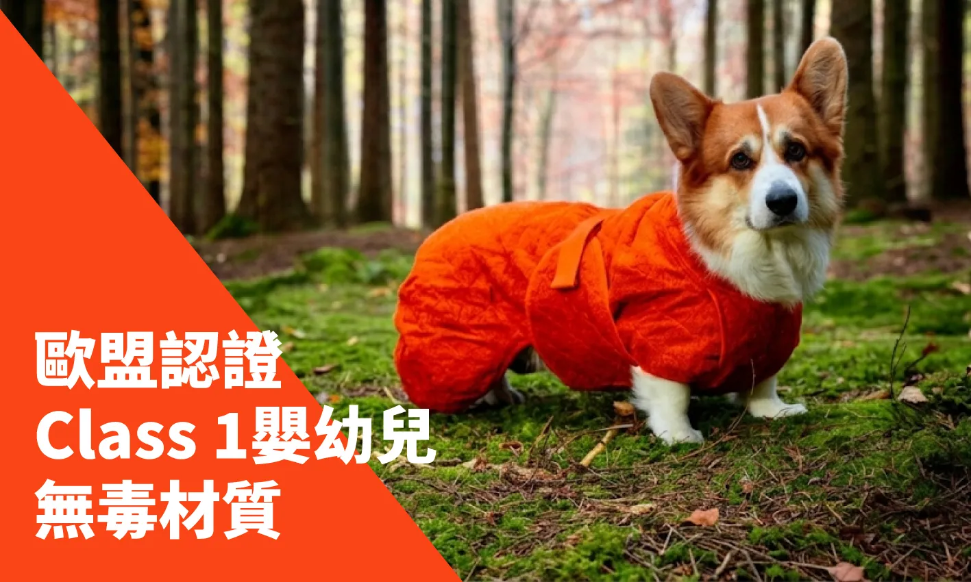 內10