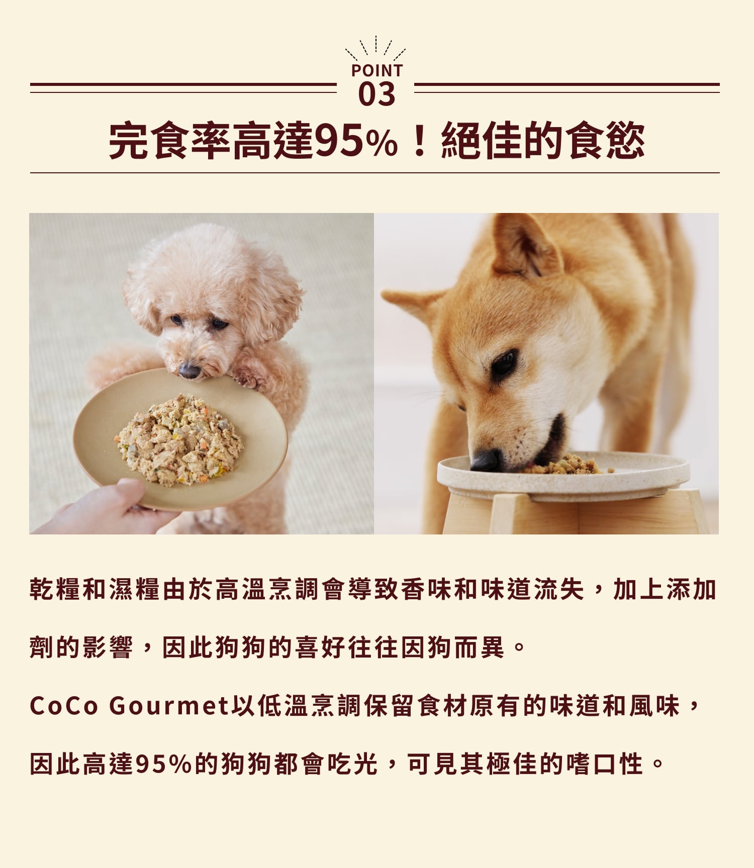 內5