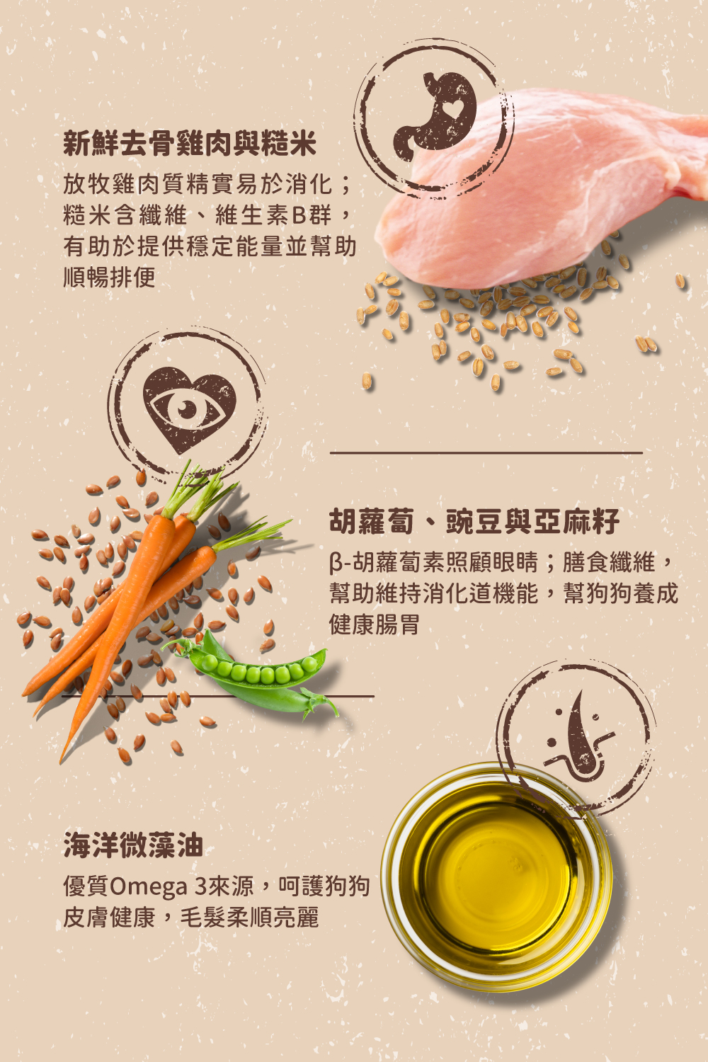 品燉雞肉炊飯5