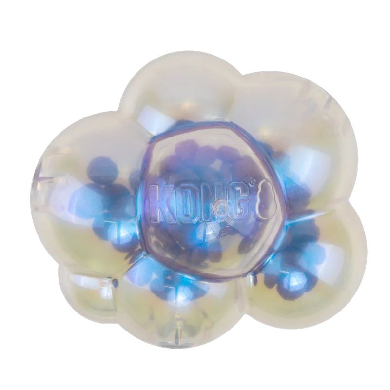 800x