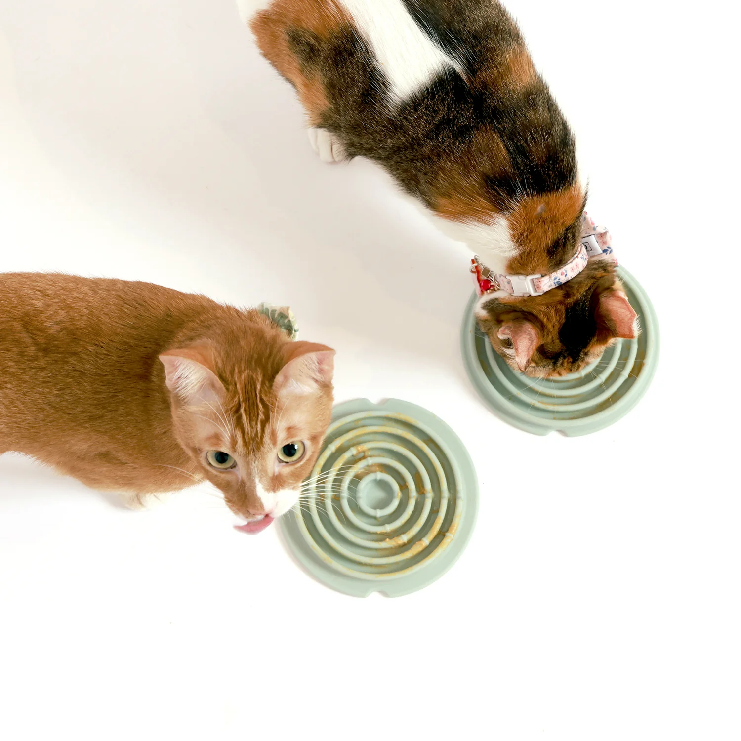 2cat