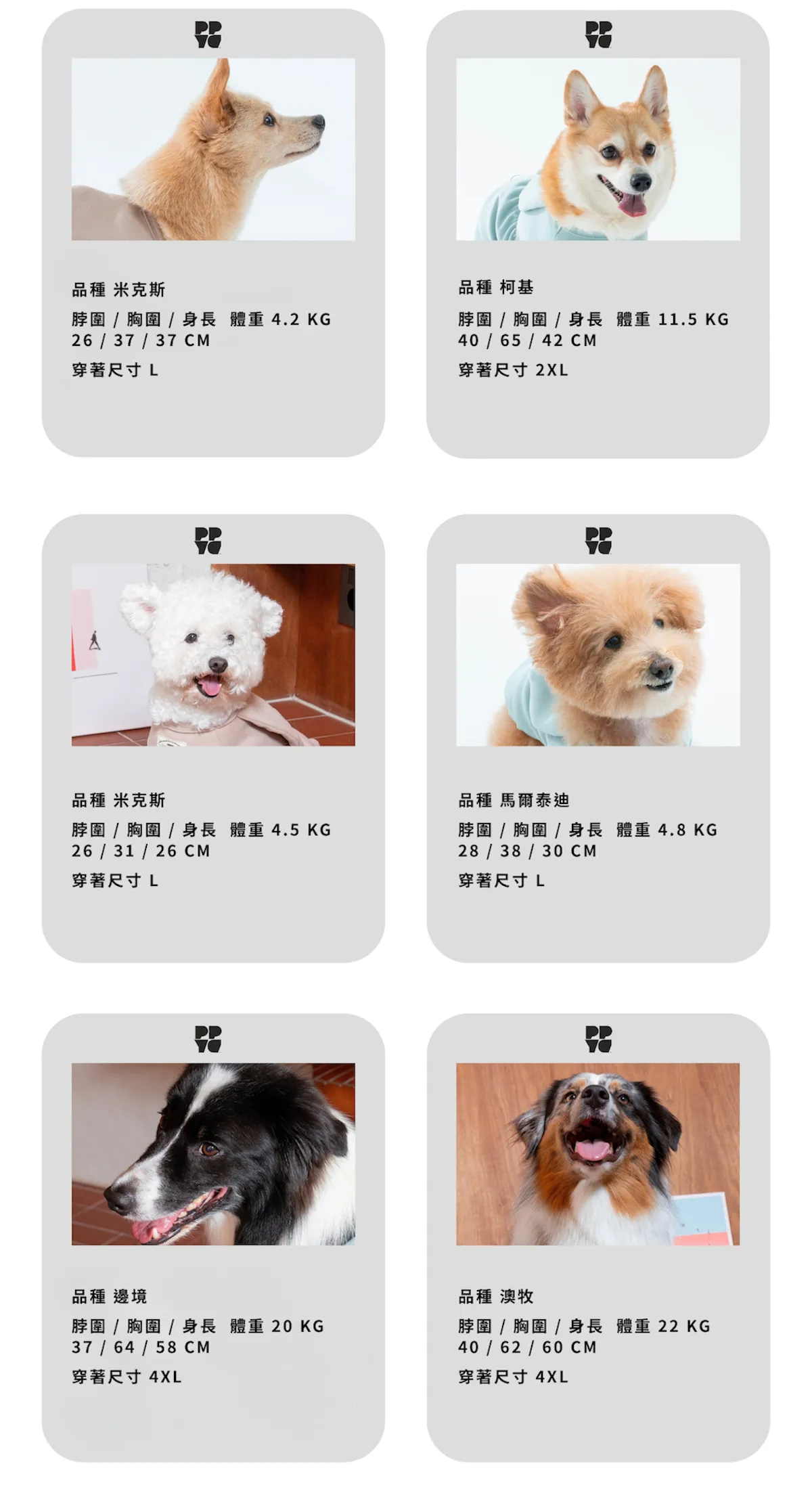 內12