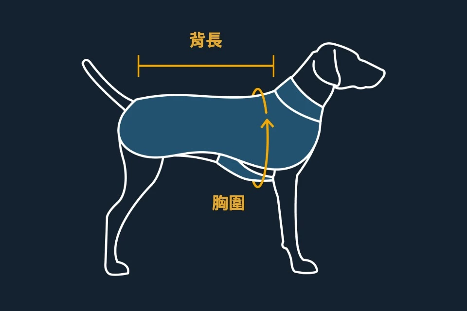 內7