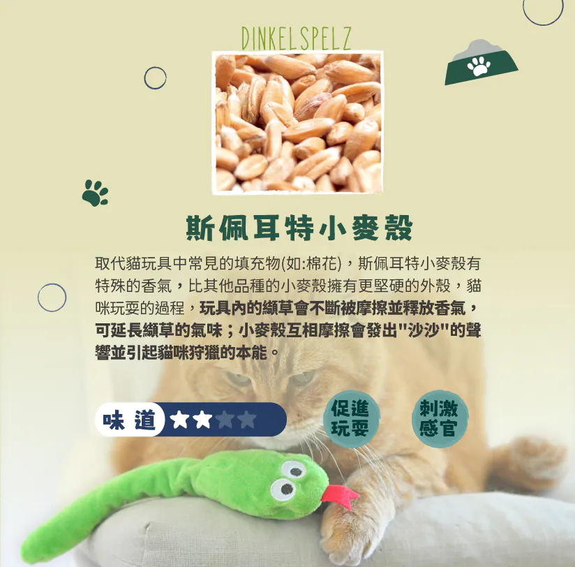 內4