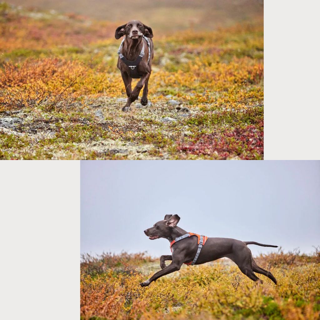 tw-11134207-81ztq-mf9a0jcd5lag1b