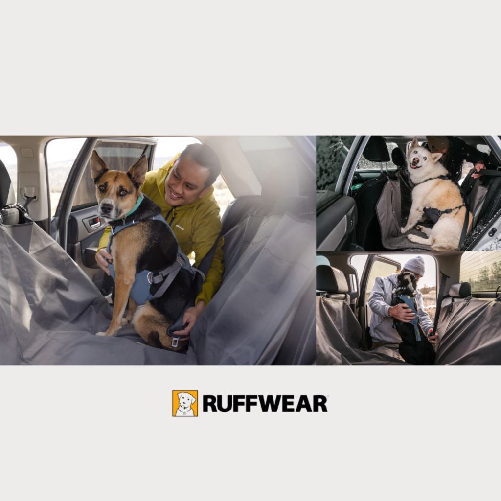 tw-11134207-7rasl-m152ix31kwygd2