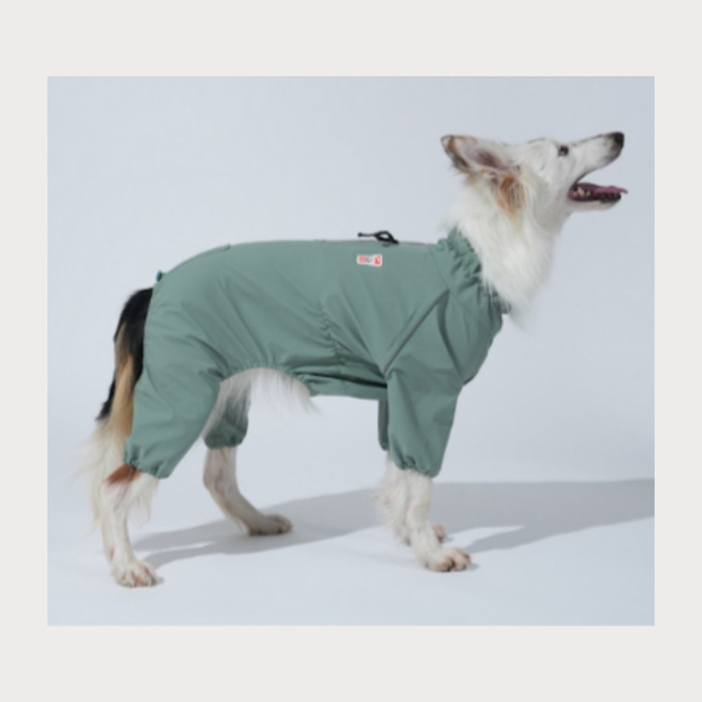 tw-11134207-81ztg-mh787xownhfv72