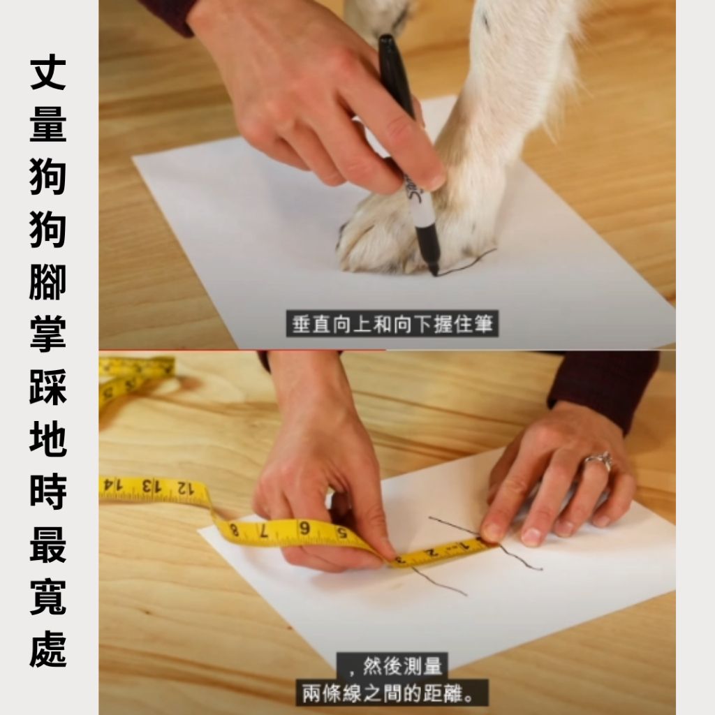 tw-11134207-7r990-lzzxfcdo9y6idf