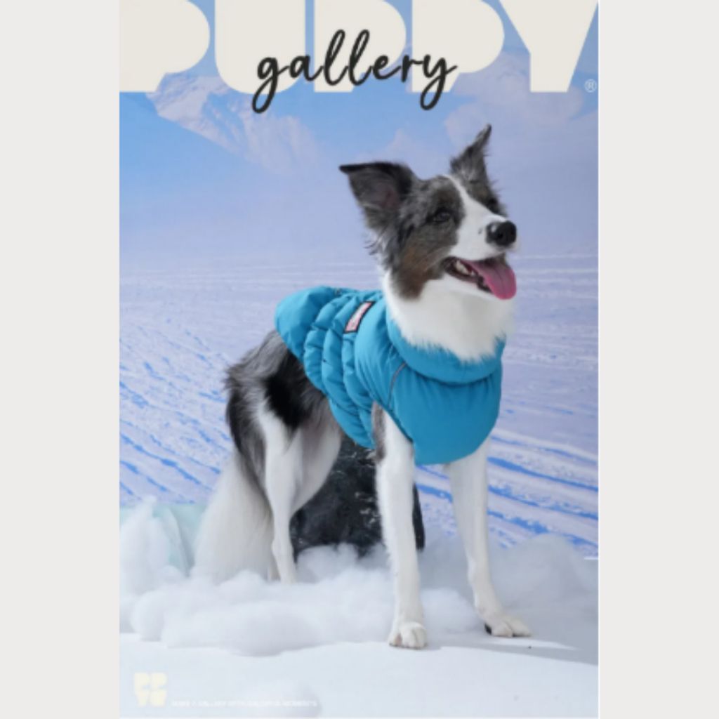 tw-11134207-81ztg-mhh9ag9e9s0643