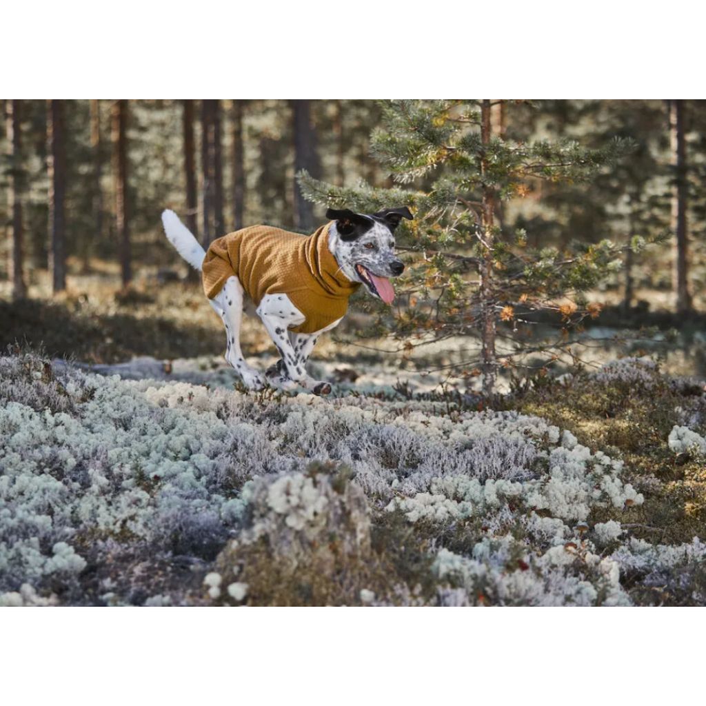 tw-11134207-7r98p-lm7chp09bzq14e