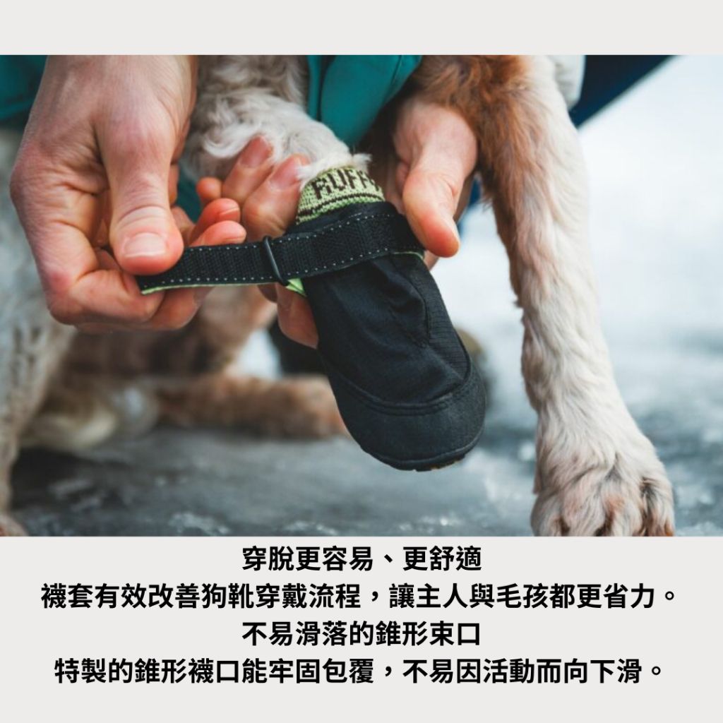 tw-11134207-81ztd-mh7f583tzabz86