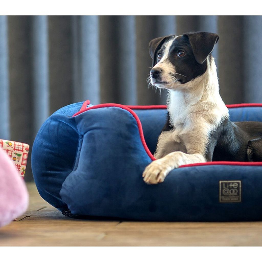 82a4952ba54f5586e3cce3d5d504b463