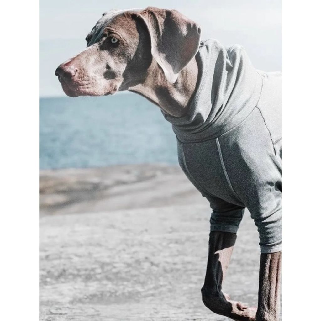 c039aeb4c28a48c65ea844b83001cd5c