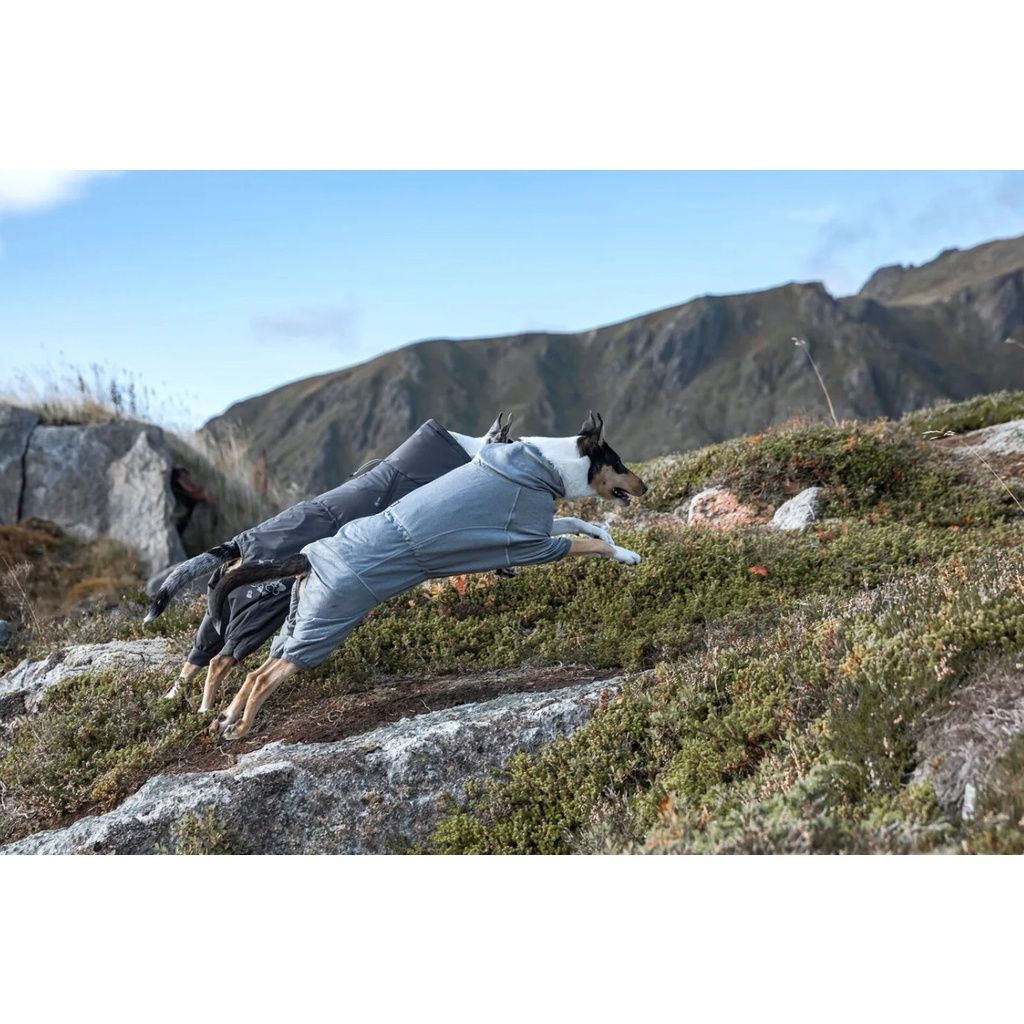 c01c10f9f9f4cbb255fbc73a93c90a01