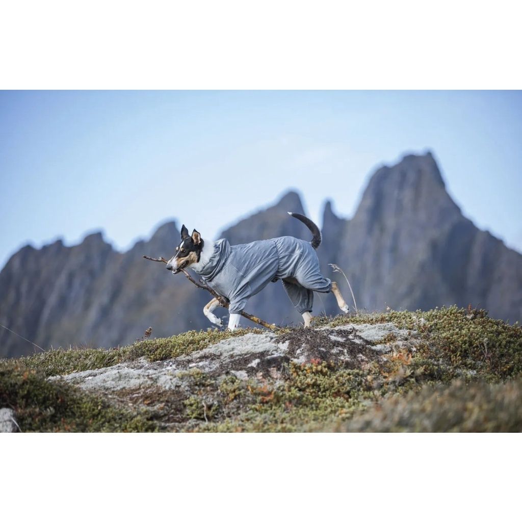 2f9865835ebfb178c74846036e9adb5a