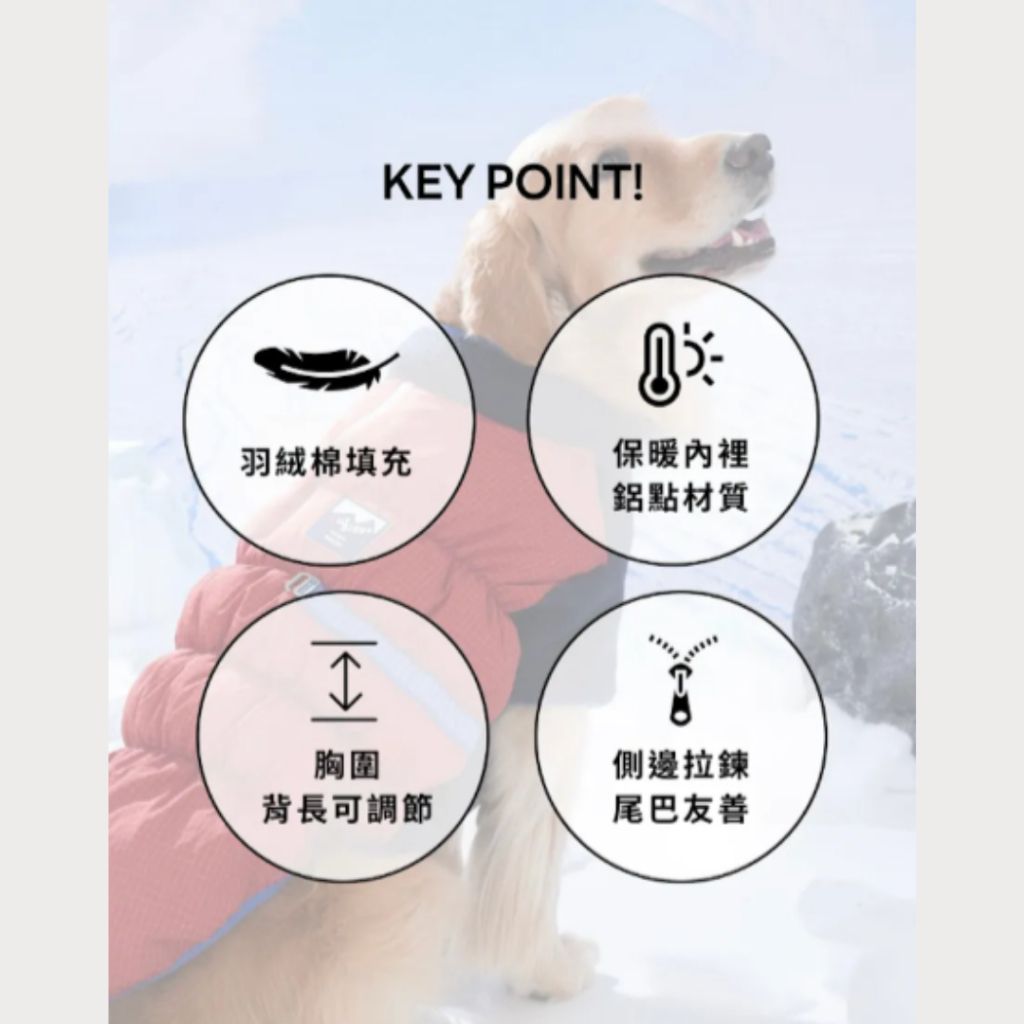 tw-11134207-81ztp-mhioxz6zgg0514