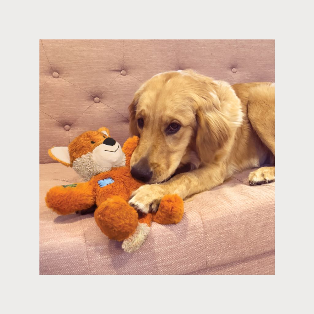 tw-11134207-7rbk9-m794zy4g24j58f