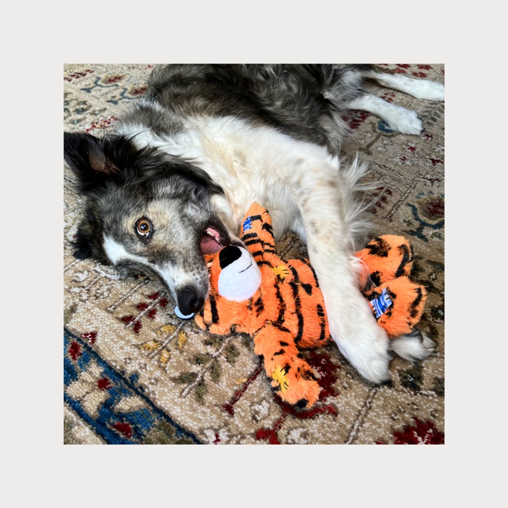 tw-11134207-7rbk7-m7950037567u25