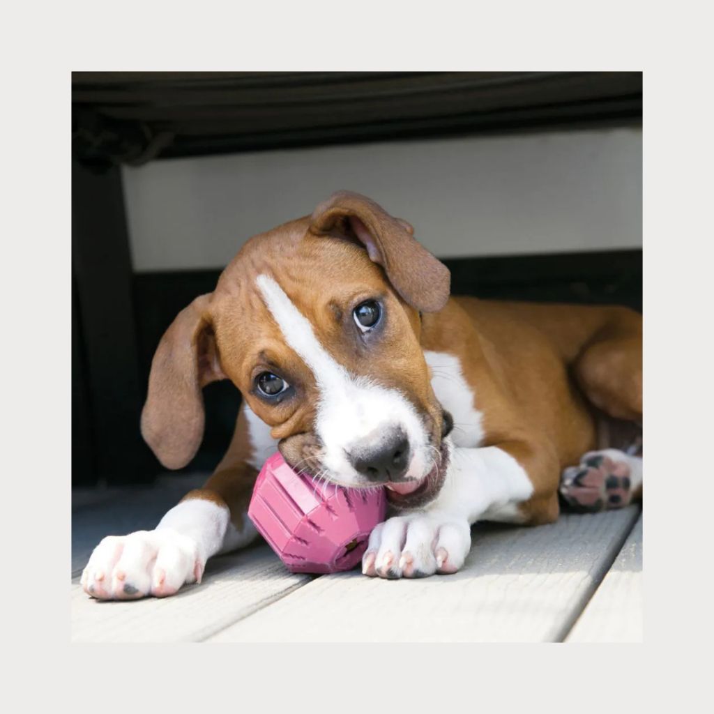 tw-11134207-81ztn-mgoqla2gaxhn14