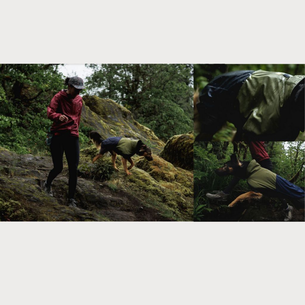 tw-11134207-81zth-mh7g0ssa5ngs69