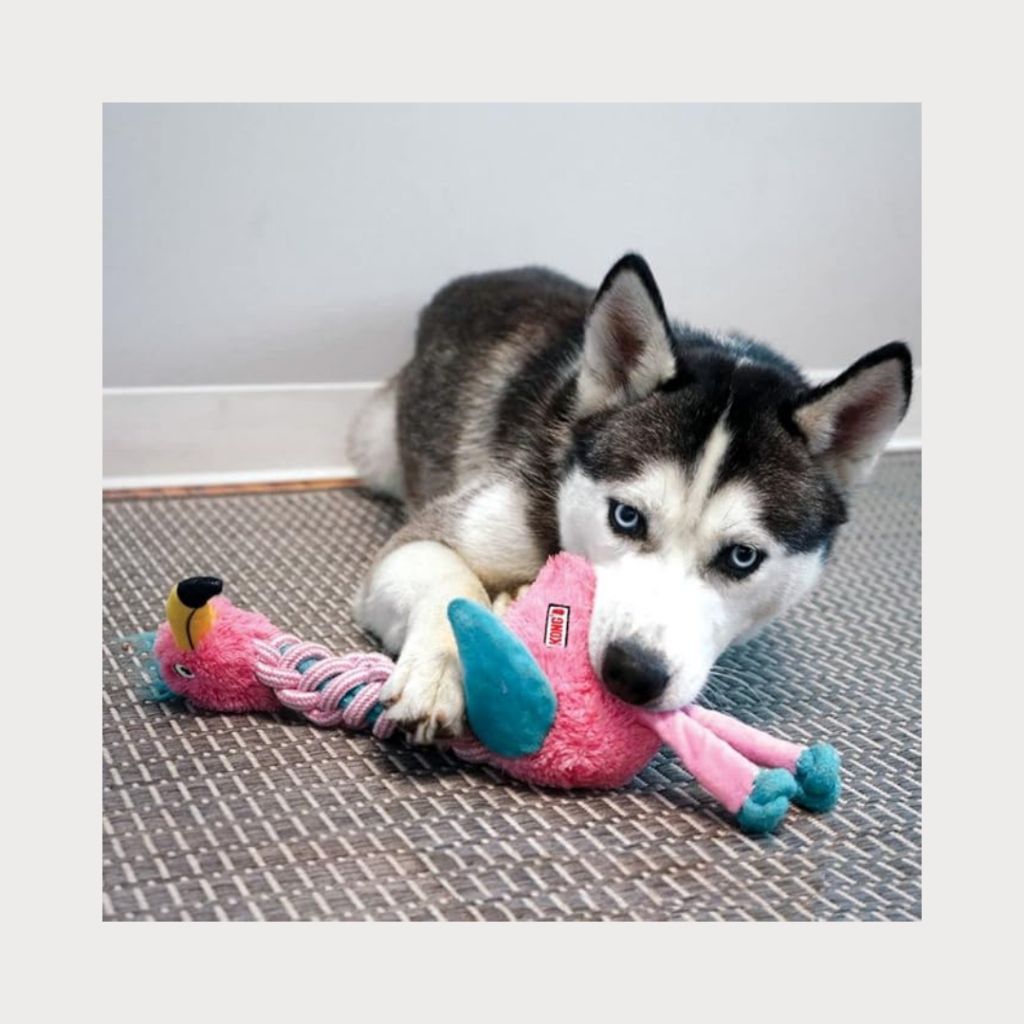 tw-11134207-7rbkb-m8n2nmb298kge5