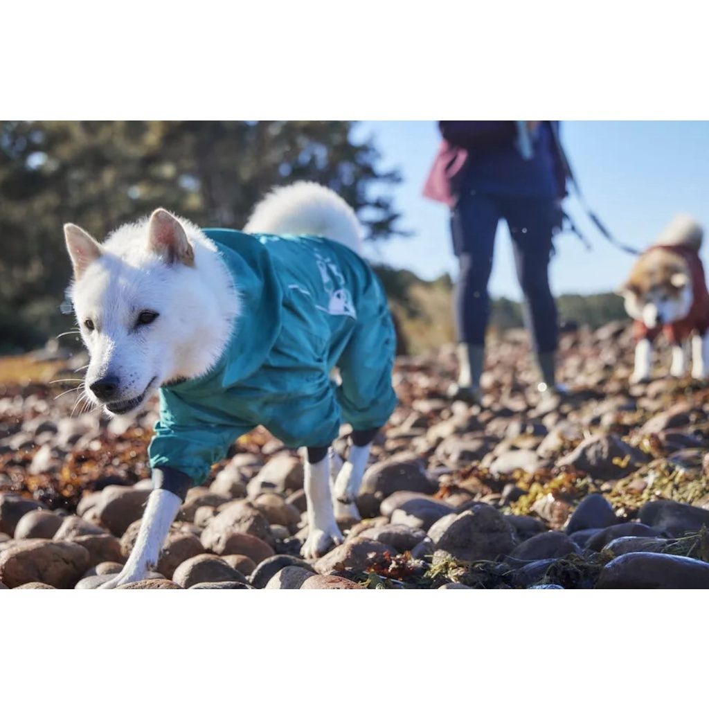 sg-11134201-22100-p4gw5pu9nrivd0