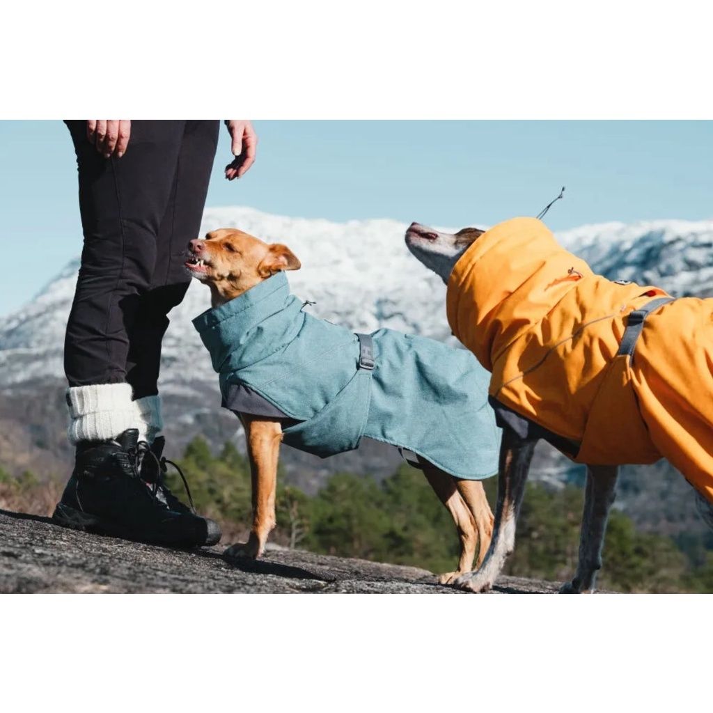 sg-11134201-22100-5riu5u2rpriv83