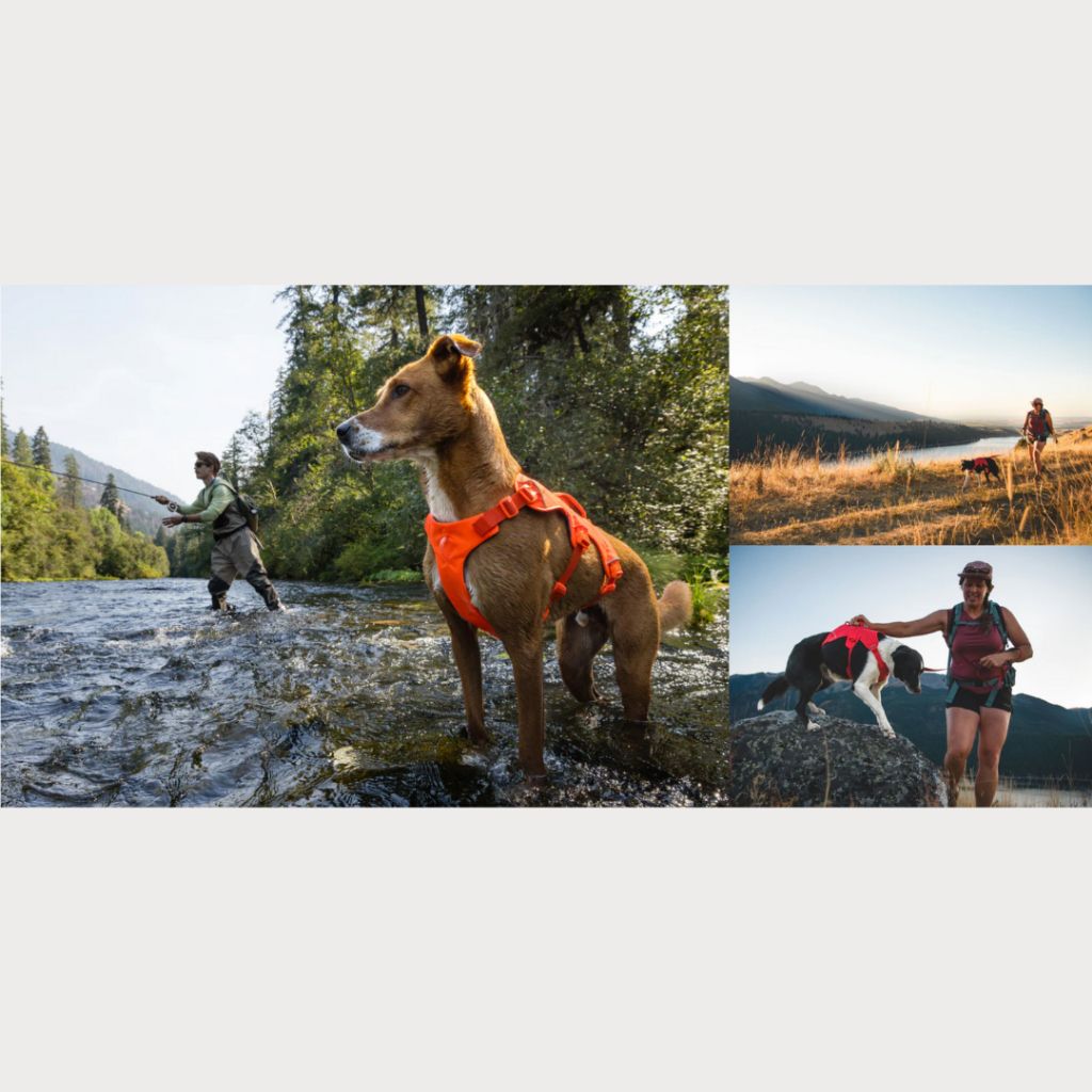 tw-11134207-7rbke-m6nm9uiw8qjm00