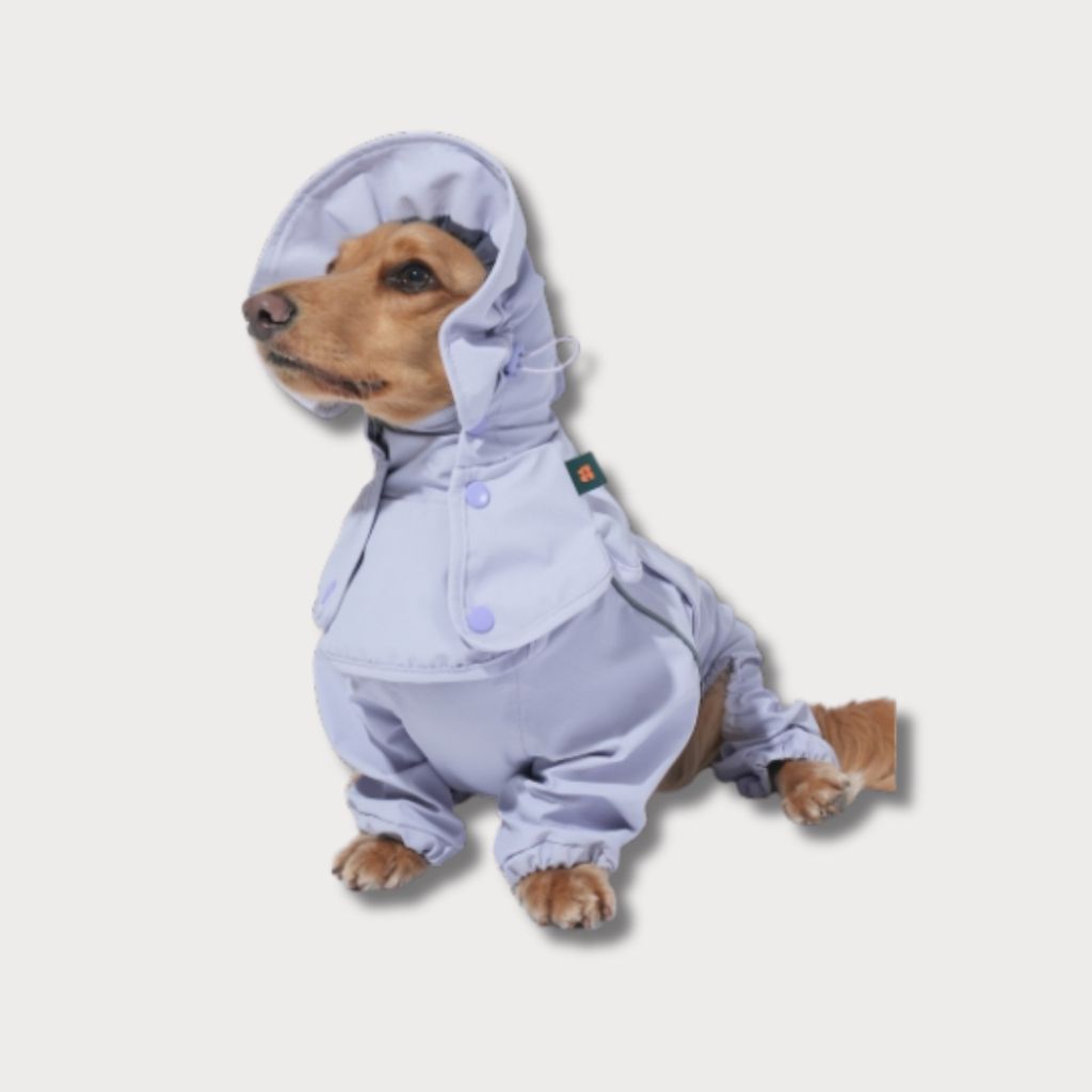 tw-11134207-81ztp-mh7ad4gjhbm1f3