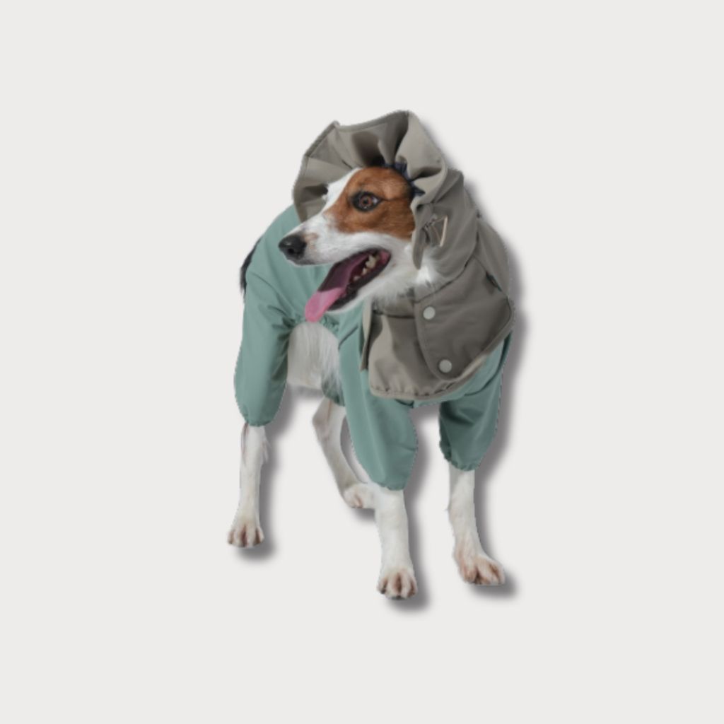 tw-11134207-81ztc-mh7add5aai2yfb