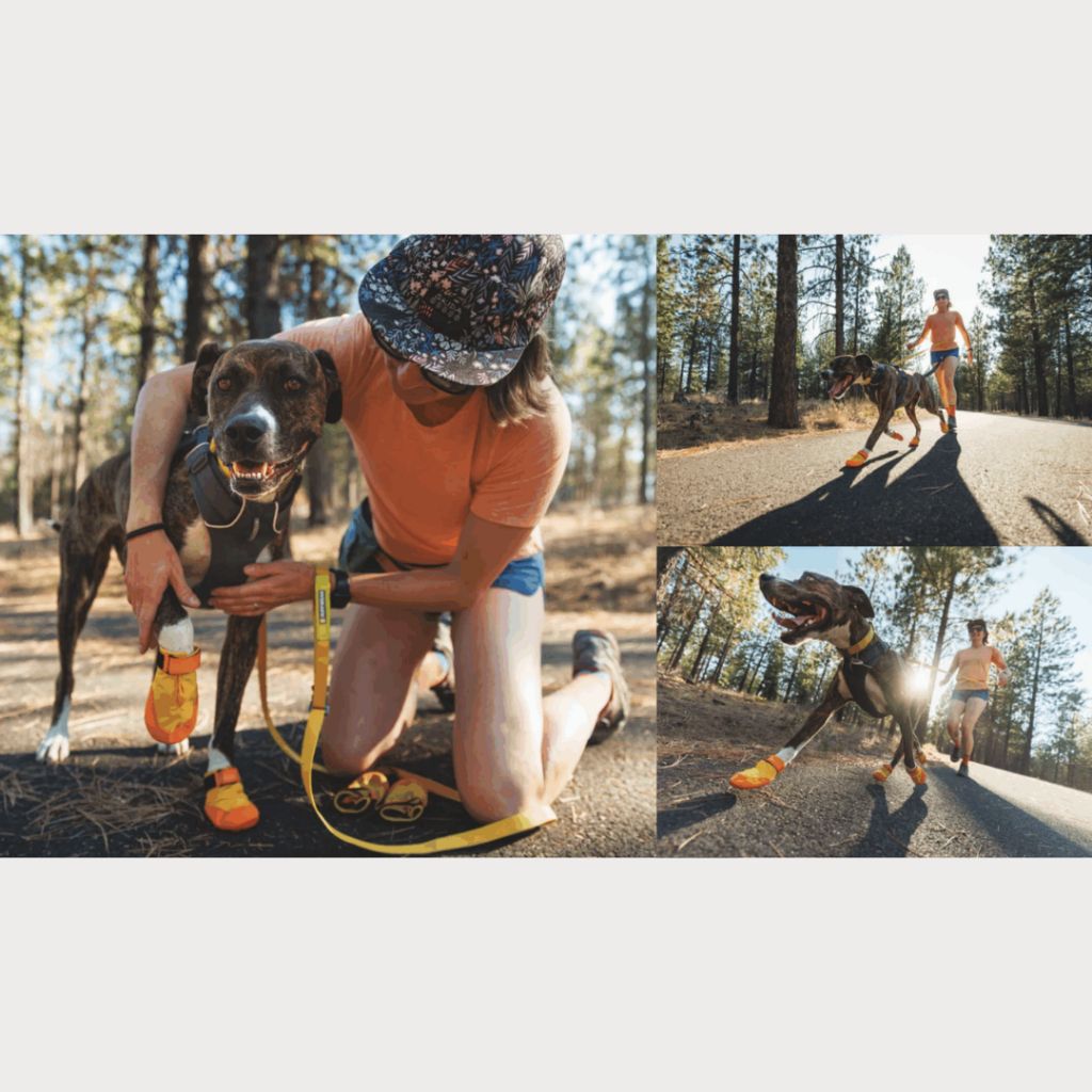 tw-11134207-7ra0r-mbndo9hejb3i6e