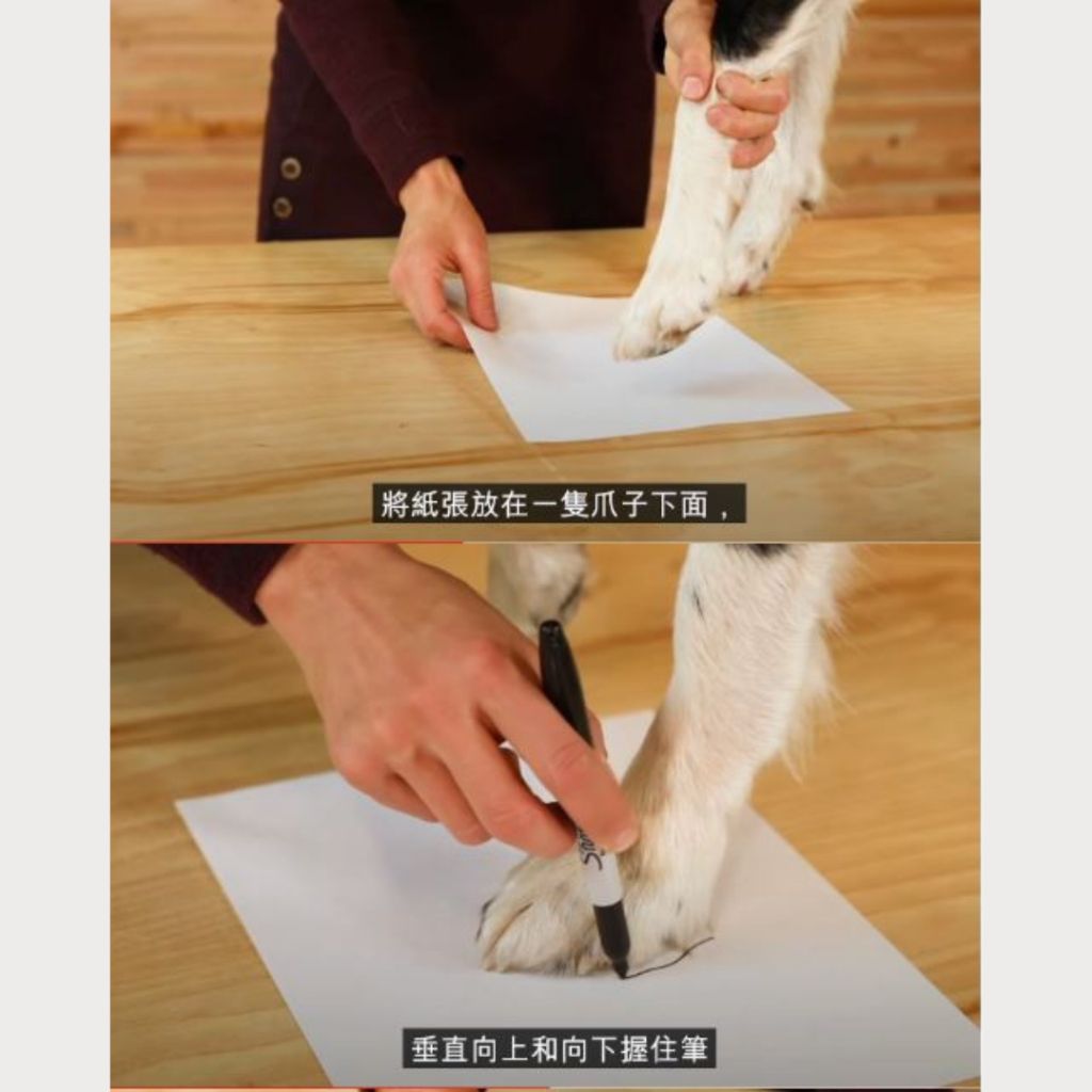 tw-11134207-7ra0h-mbndozyrs5zd12